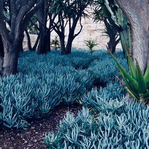 Meet your Posher, Betty